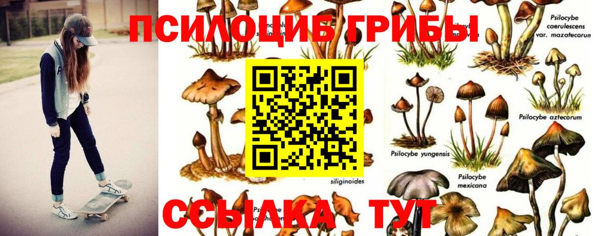 Кинешма  цена   Вход с VPN  Галлюциногенные грибы MAGIC MUSHROOMS 